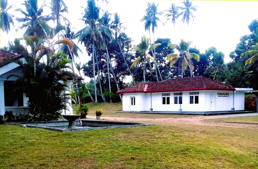 Paradise Property Pvt Ltd Office